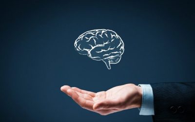Trí tuệ là gì? Đối tượng sở hữu trí tuệ bao gồm những đối tượng nào theo quy định hiện nay?