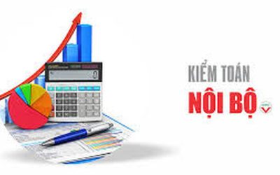 Đơn vị sự nghiệp công lập sử dụng bao nhiêu người lao động thì phải thực hiện công tác kiểm toán nội bộ?