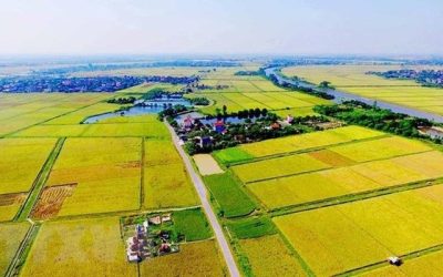 Đã có Công văn 6520 về văn bản hướng dẫn thi hành Luật Đất đai 2024.